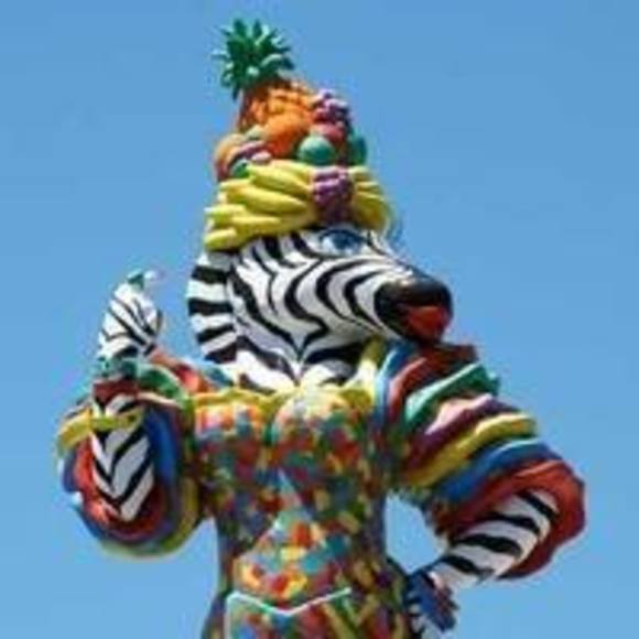 thefunkyzebra